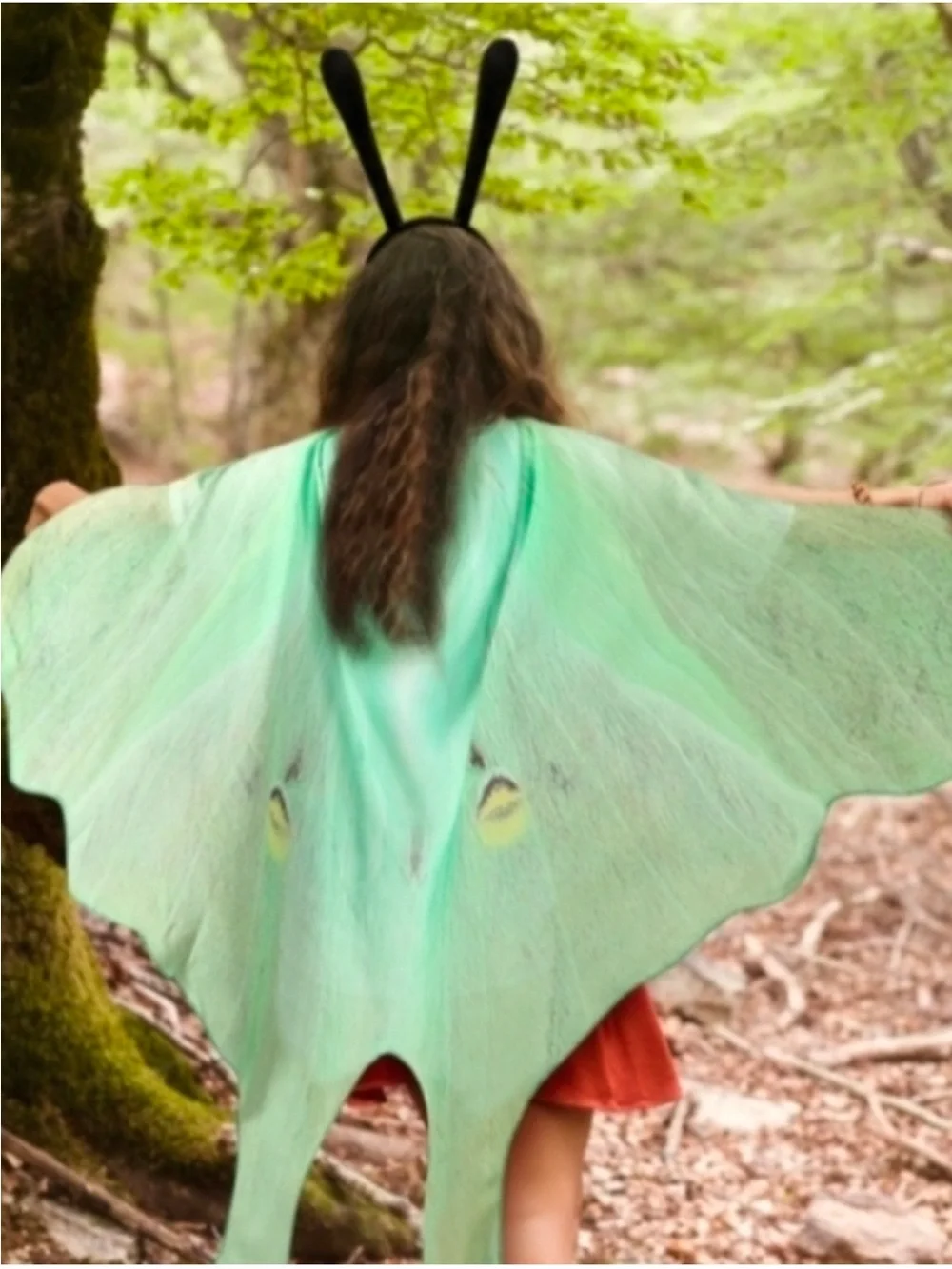 Mint Green Luna Moth Festival Butterfly Costume Set Fairy Wings Butterflies